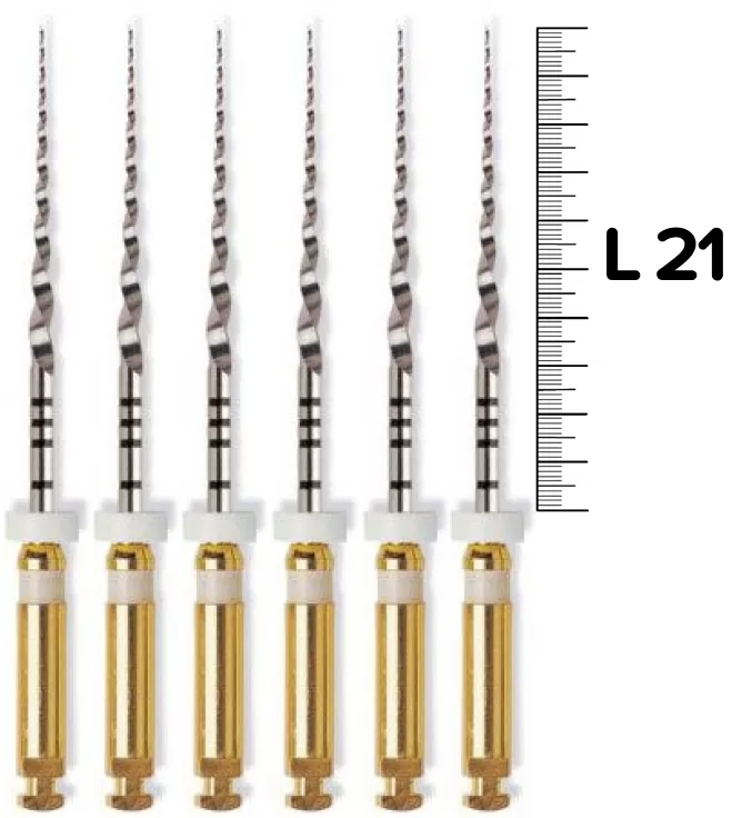 ProTaper Universal (S2/21мм) машинные (6 шт.)