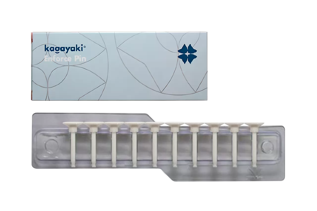 Enforce Pin диск грубые (10 шт.)