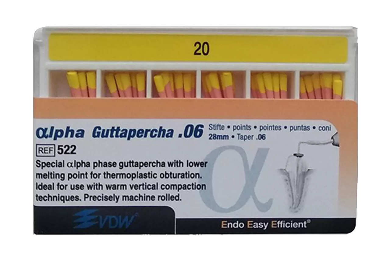 Alpha Гуттаперча .06 N20 (60 шт.)