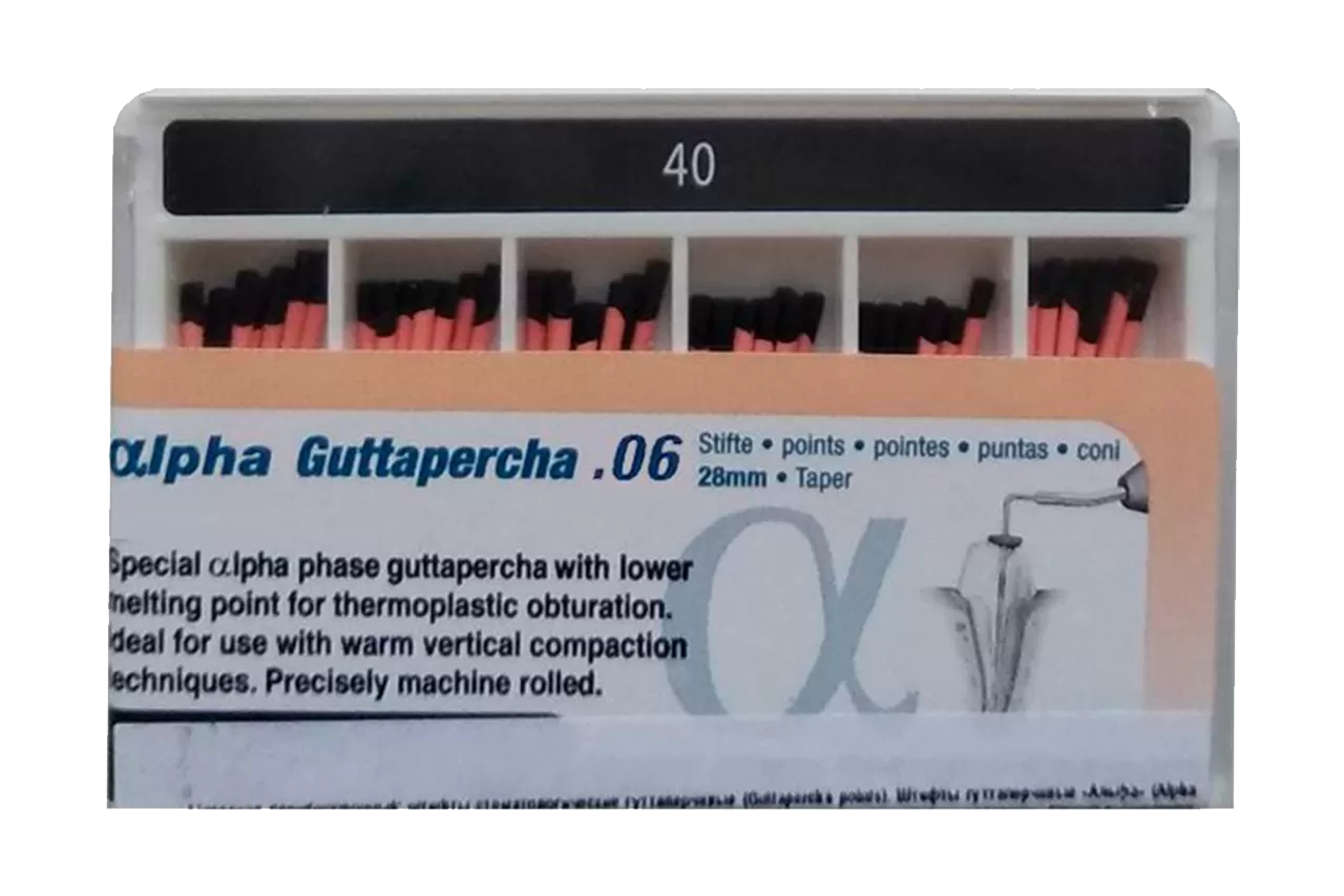Alpha Гуттаперча .06 N40 (60 шт.)