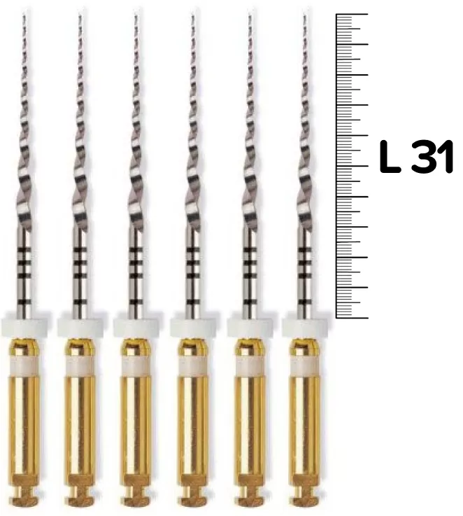 ProTaper Universal (S2/31мм) машинные (6 шт.)