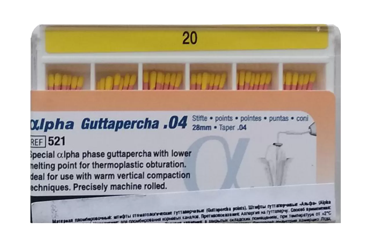 Alpha Гуттаперча .04 N20 (60 шт.)