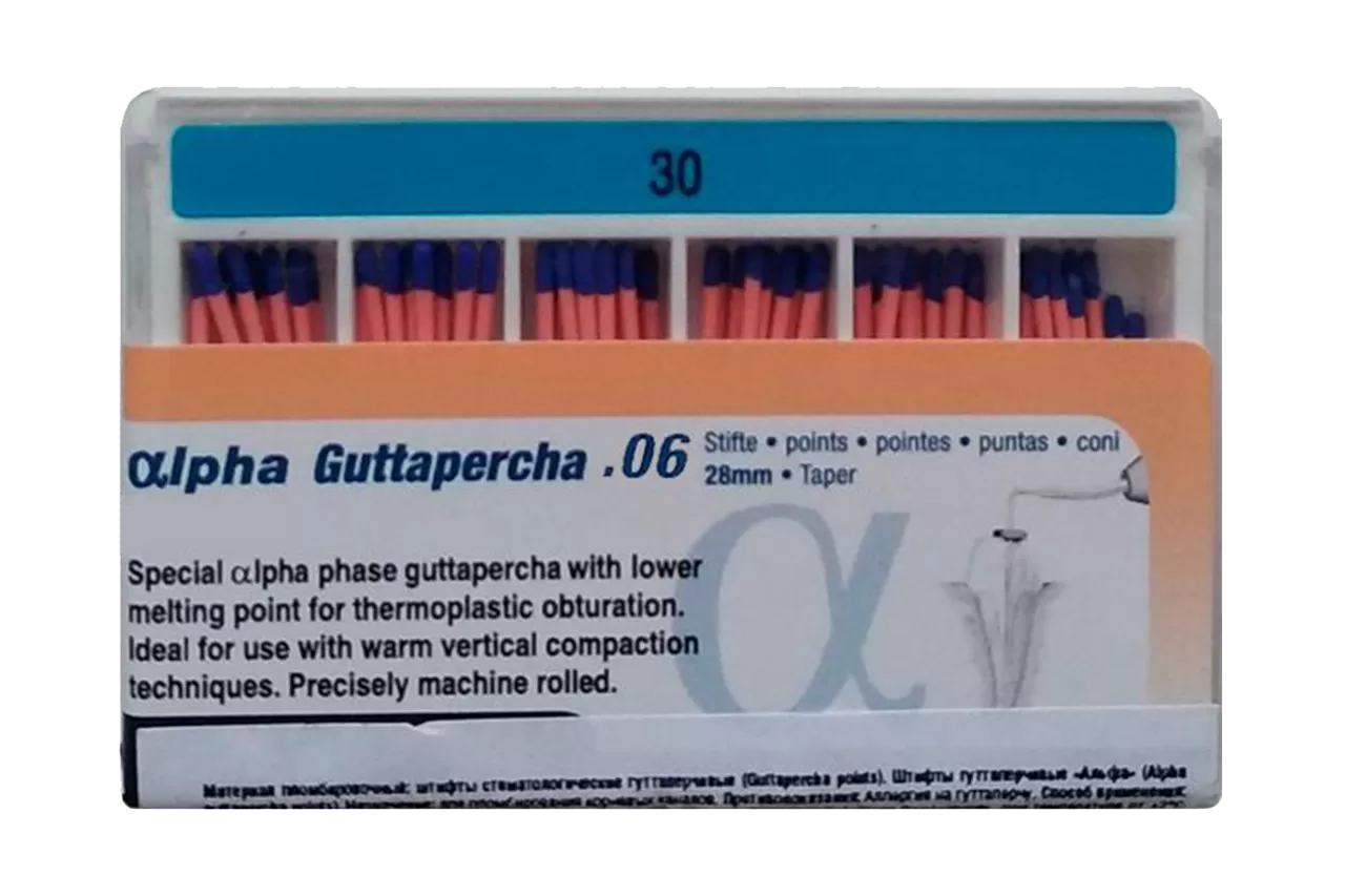 Alpha Гуттаперча .06 N30 (60 шт.)