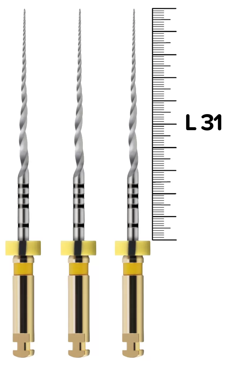 ProTaper Next X1/31 мм машинные (3 шт.)