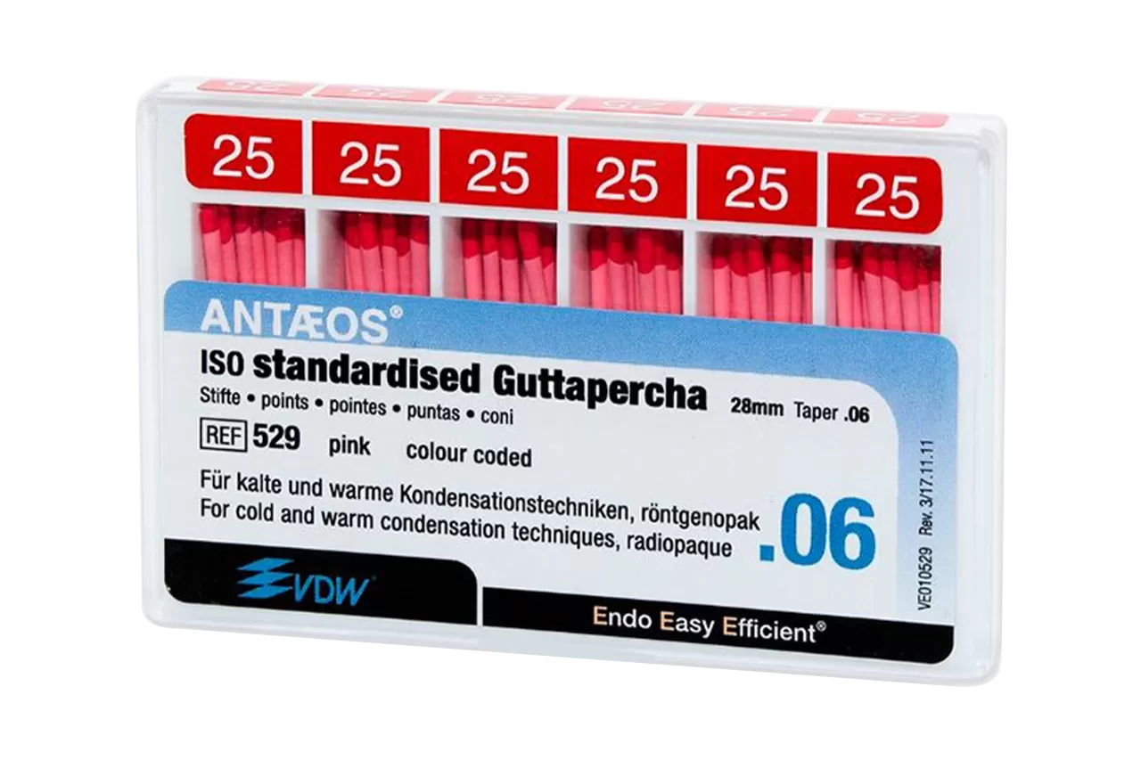 Antaeos Гуттаперча .06 N25 (60 шт.)