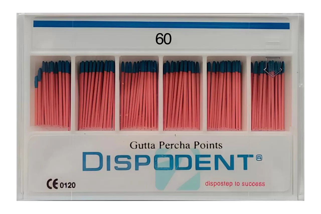 Гуттаперча Dispodent N60 .02 (120 шт.)