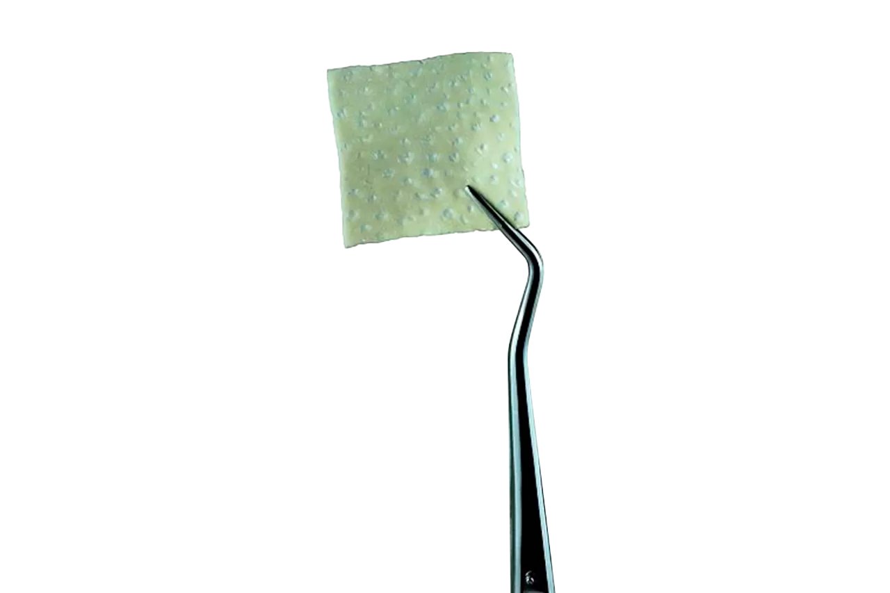 OsteoBiol Derma Fine матрикс 25х25мм / свиной