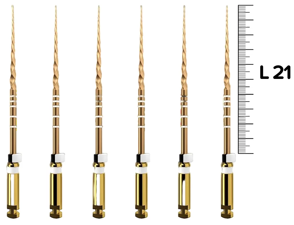 ProTaper Gold S2 21мм ster машинные (6шт), Dentsply