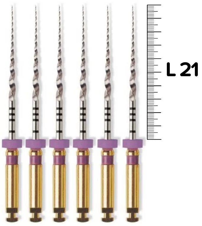 ProTaper Universal (S1/21мм) машинные (6 шт.)