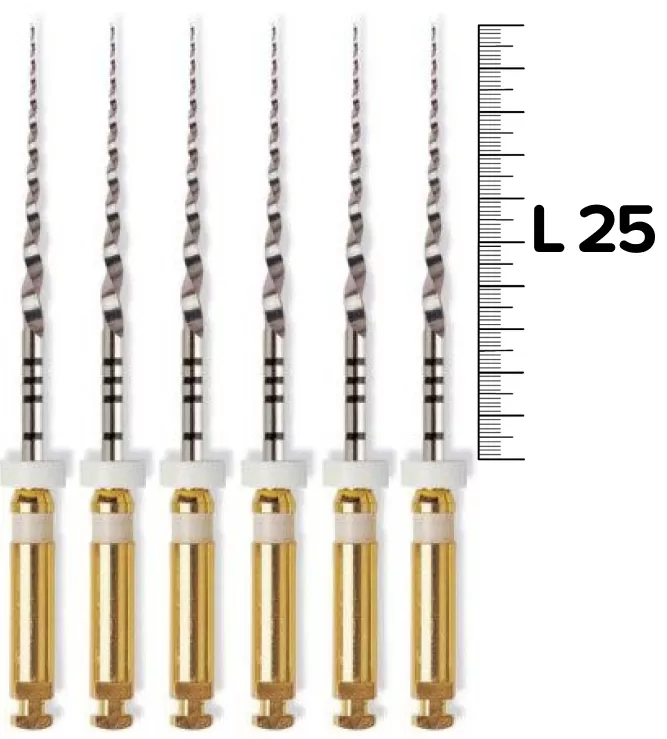 ProTaper Universal (S2/25мм) машинные (6 шт.)