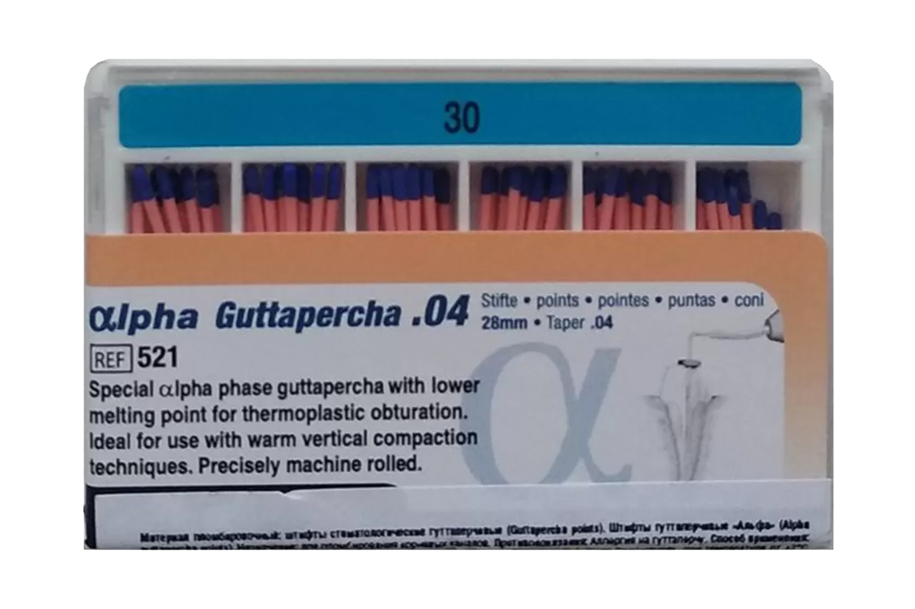 Alpha Гуттаперча .04 N30 (60 шт.)