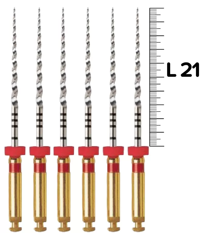 ProTaper Universal (F2/21мм) машинные (6 шт.)