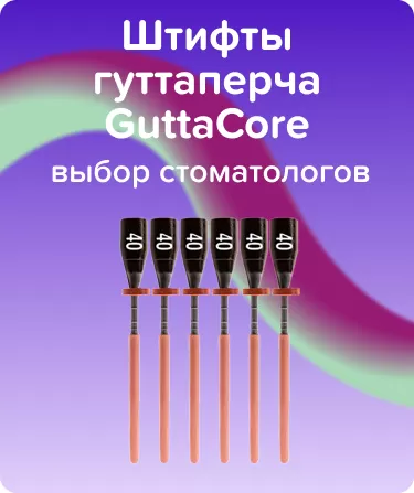 Обтураторы GuttaCore N40