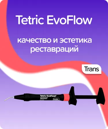 Tetric EvoFlow Transparent