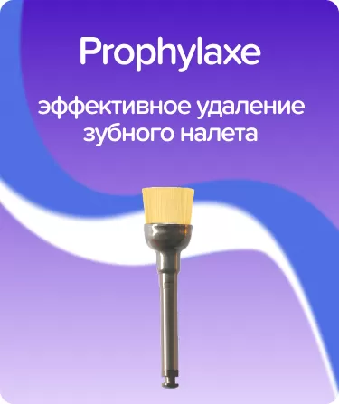 Prophylaxe P1477