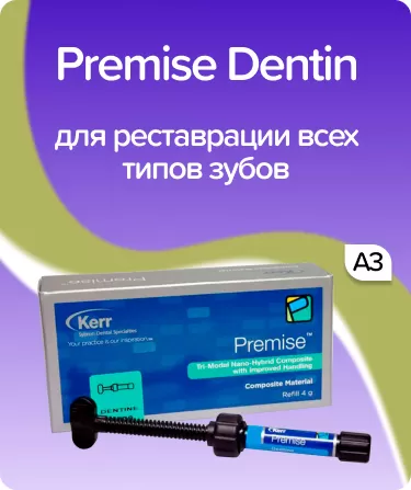 Premise Dentin A3