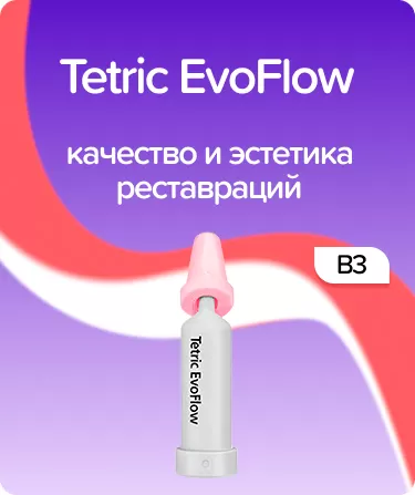 Tetric EvoFlow B3