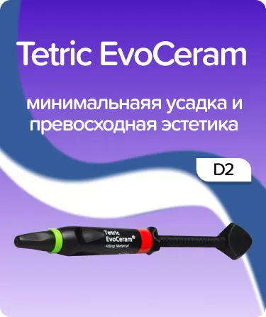 EvoCeram D2