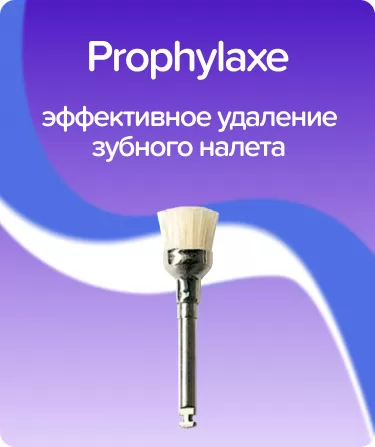 Prophylaxe P1258