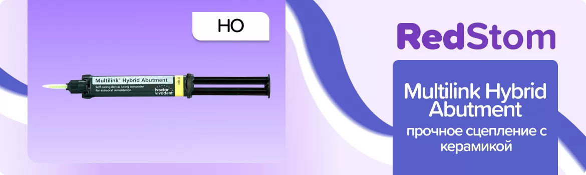 Multilink Hybrid Abutment HO