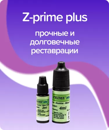 Z-prime Plus