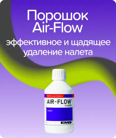 Порошок Air-Flow, черная смородина