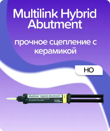 Multilink Hybrid Abutment HO