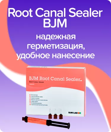 Root Canal Sealer BJM