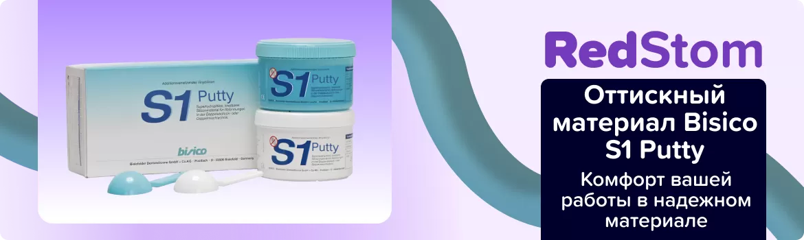 Bisico S1 Putty базовый слой