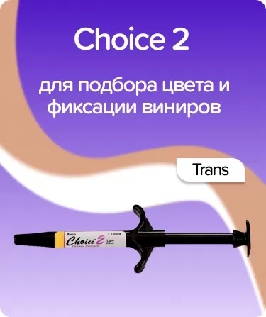 Choice 2 Trans