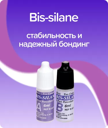 Bis-silane