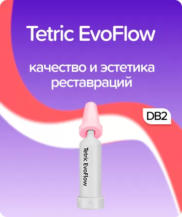 Tetric EvoFlow DB2