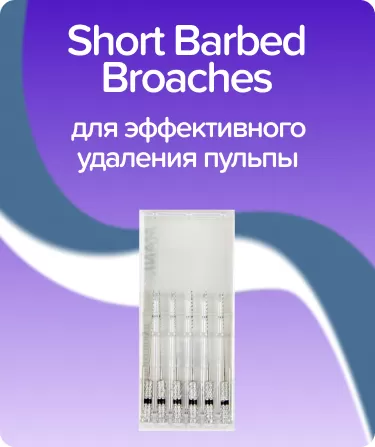 Short Barbed Broaches N6 21 мм