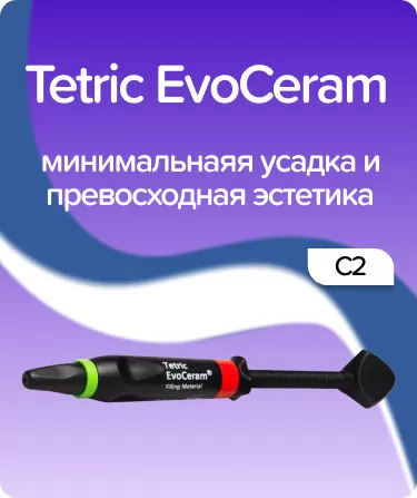 EvoCeram C2