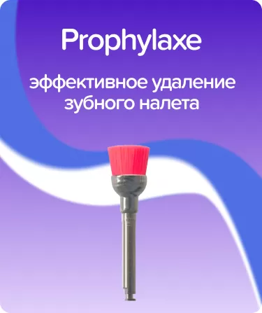 Prophylaxe P1472