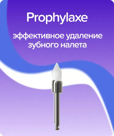 Prophylaxe P1256