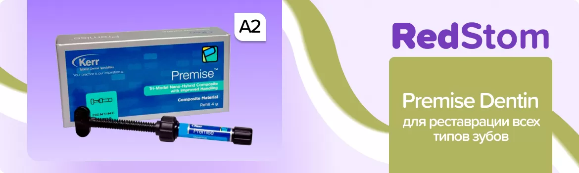 Premise Dentin A2