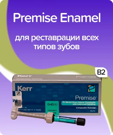 Premise Enamel B2