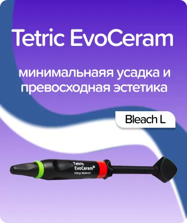 EvoCeram Bleach L