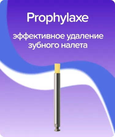 Prophylaxe P1478
