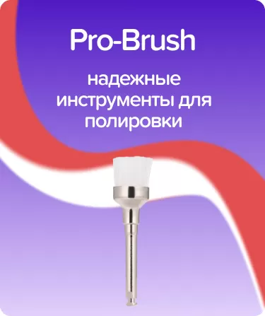 Щетки Pro-Brush
