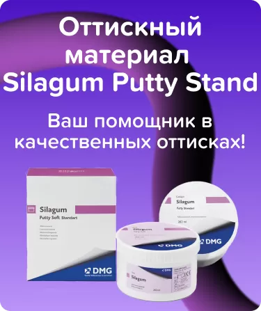 Silagum Putty Standart базовый слой