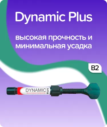 Dynamic Plus B2