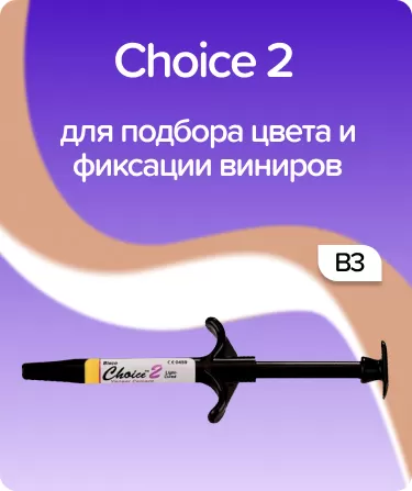 Choice 2 B3