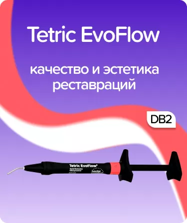 Tetric EvoFlow DB2