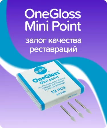 OneGloss Mini Point