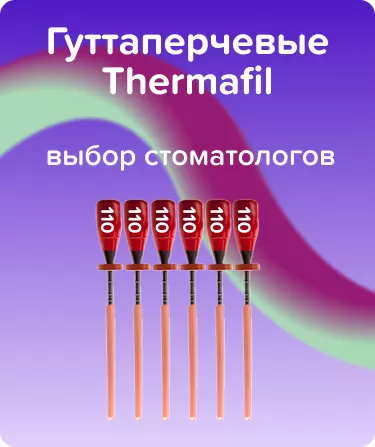 Обтураторы Thermafil N110