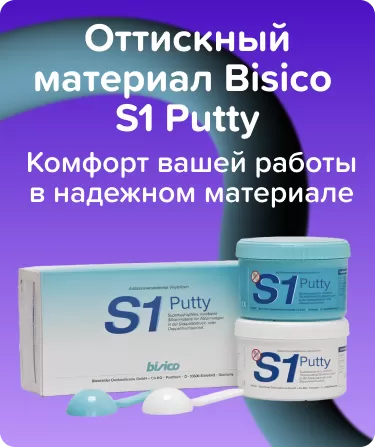 Bisico S1 Putty базовый слой