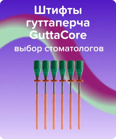 Обтураторы GuttaCore N70