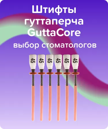 Обтураторы GuttaCore N45